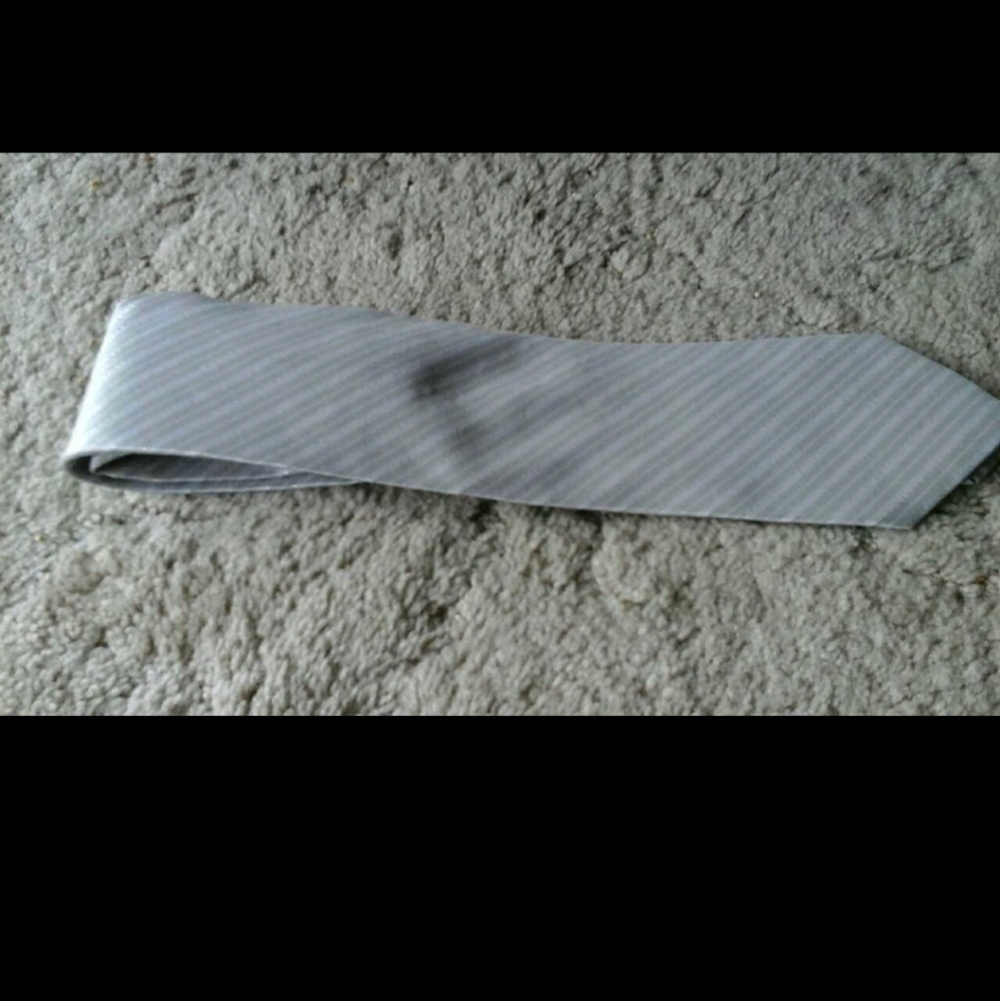 Lord and Taylor Tie~Silver~silk